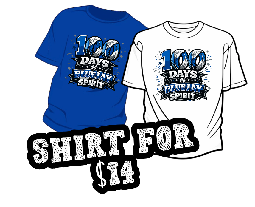 100 Days of Hawk Spirit