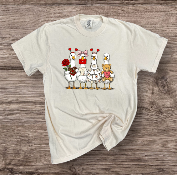 Valentines - Ducks with Hearts