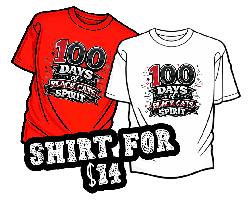 100 Days of Black Cat Spirit