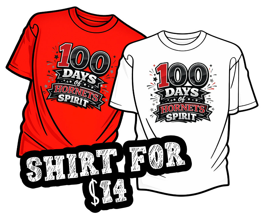 100 Days of Black Hornet Spirit