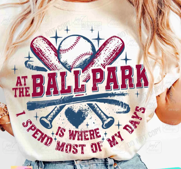 At The Ball Park T-Shirt