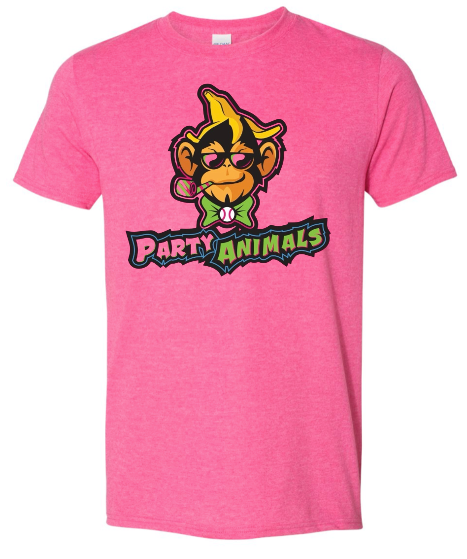 R7 Little League Party Animals