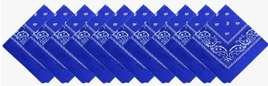 Spirit Wear Accessories - Blue Bandana