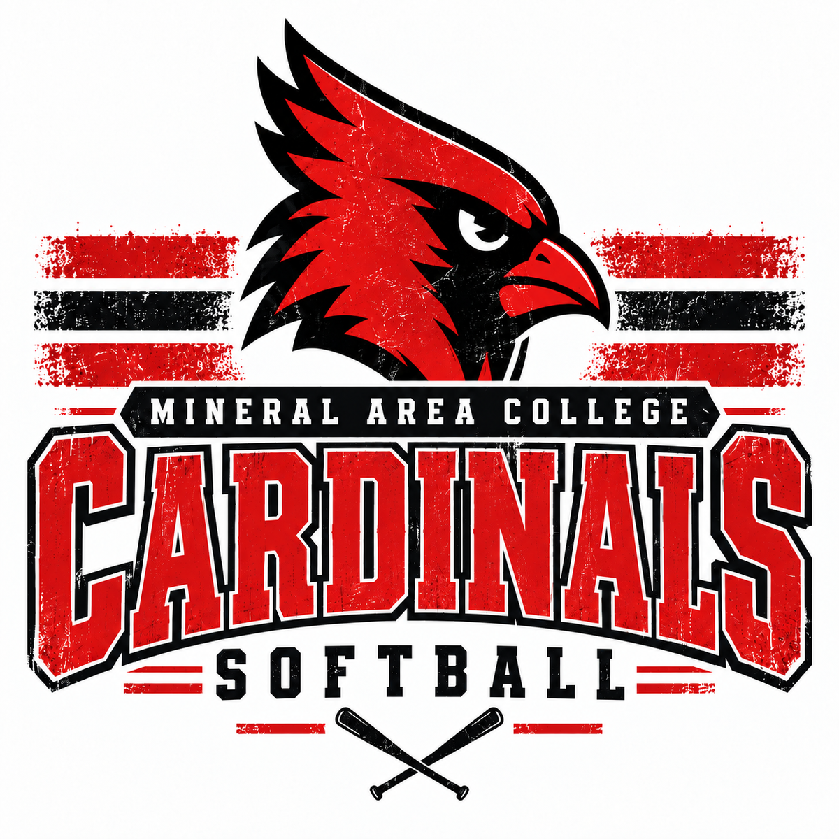 Mineral Area Softball