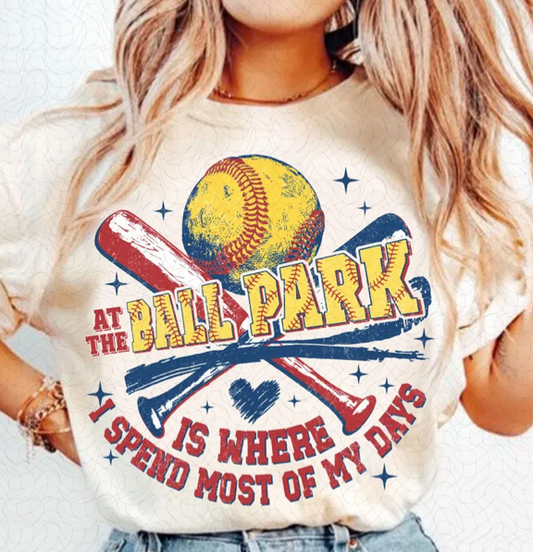 At the Ball Park Softball T-Shirt