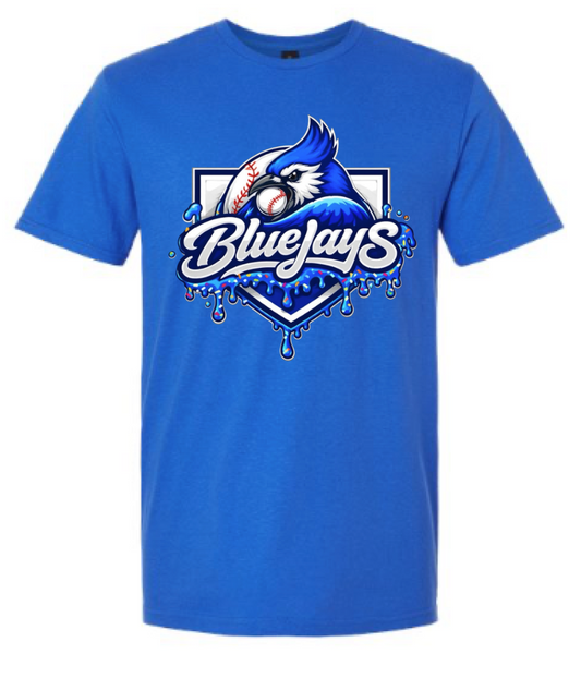 R7 Little League Blue Jays (1)