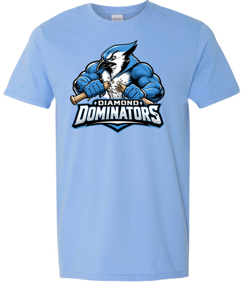 R7 Little League Diamond Dominators