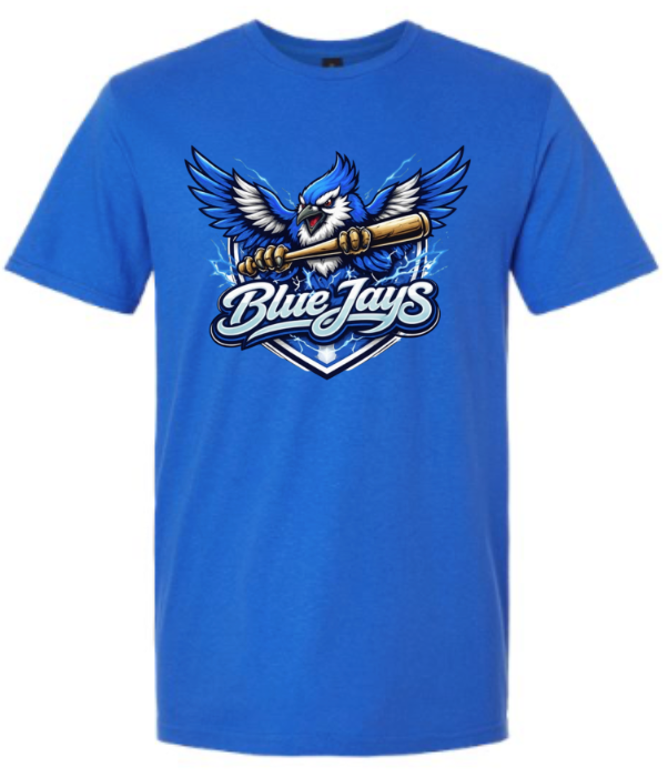 R7 Little League Blue Jays (2)